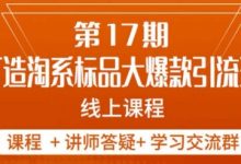 南掌柜-第17期打造淘系标品大爆款，5天线上课