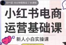 小红书电商运营基础课，新人小白实操课
