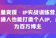 流量变现·IP实战训练营，普通人也能打造个人IP，成为百万博主