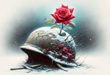 要福利每日分享2024-12-07