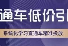 直通车低价引流课，系统化学习直通车精准投放