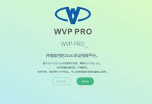 WEB VIDEO PLATFORM，开箱即用的28181协议视频平台，支持浏览器无插件播放摄像头视频。