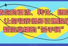 打造你的引流、转化、团队系统，让你收获很多引爆流量、翻倍业绩的“杀手锏”