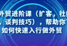 凤姐外贸进阶课（扩客，社媒，沟通，谈判技巧），帮助你了解如何快速入行做外贸