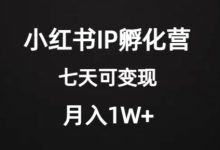 价值2000+的小红书IP孵化营项目，超级大蓝海，七天即可开始变现，稳定月入1W+