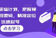 视频号死磕计划，把握视频号运营逻辑，精准定位迅速起号
