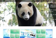 熊猫频道，以大熊猫为主题的央视频道，可以在线看熊猫直播