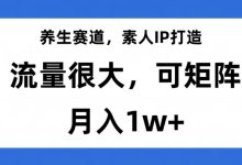 养生赛道，素人IP打造，流量很大，可矩阵，月入1w+【揭秘】