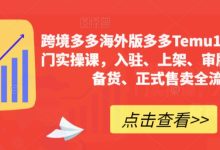 跨境多多海外版多多Temu12天快速入门实操课，入驻、上架、审版、核价、备货、正式售卖全流程