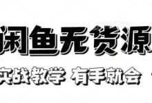新手必看！实战闲鱼教程，看完有手就会做闲鱼无货源！【揭秘】
