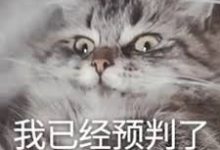投资的一个核心是“预判”，在未来还一片朦胧的时候，你就要下注了