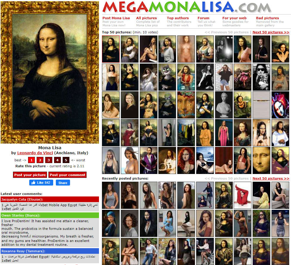 Mega Mona Lisa，巨量恶搞版蒙娜丽莎的微笑