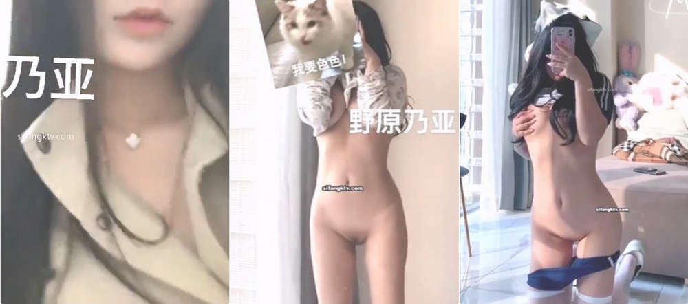 最近火爆推特网红美女『野原乃亚』火爆私拍甄选