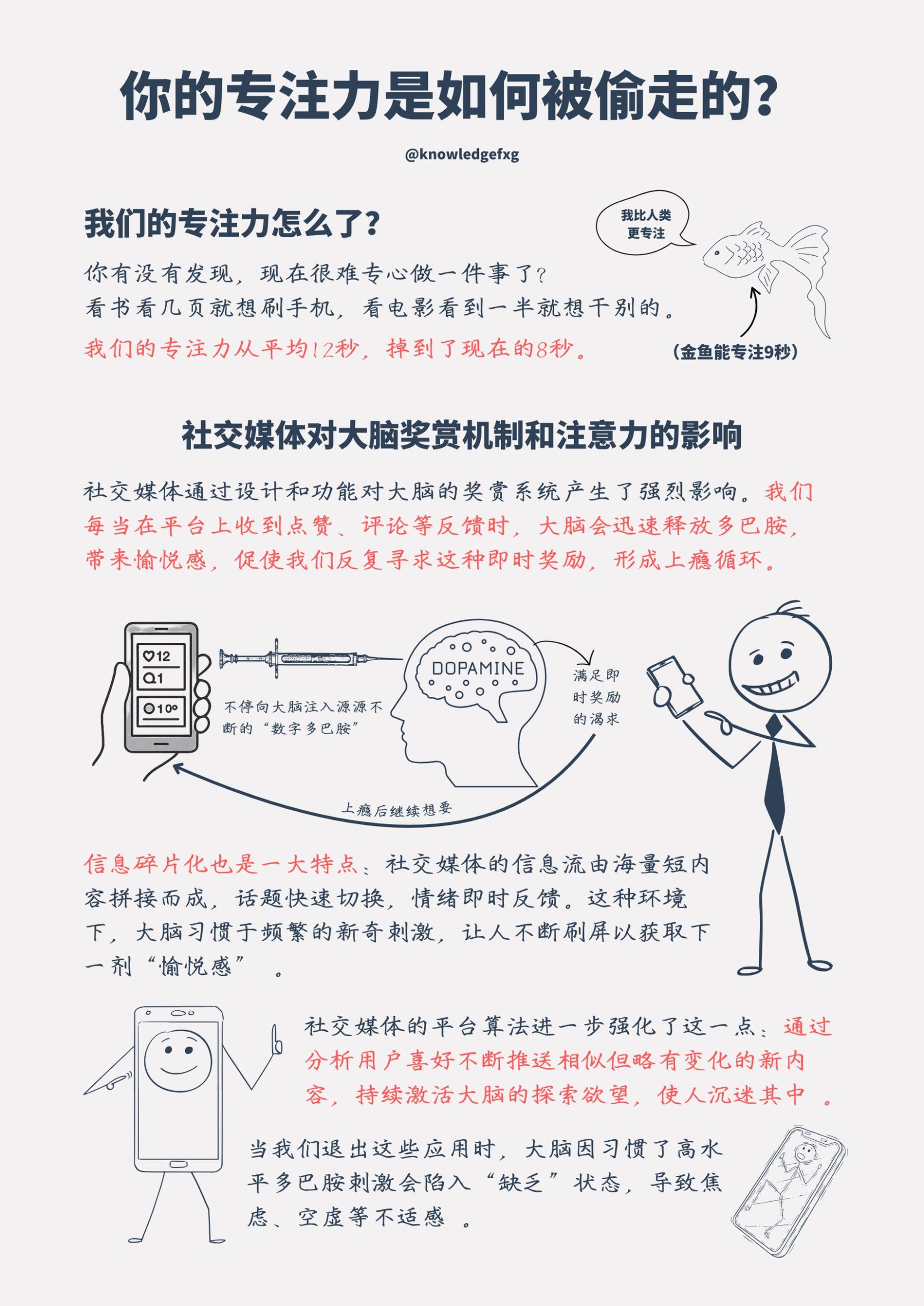 你的注意力是如何被偷走的？