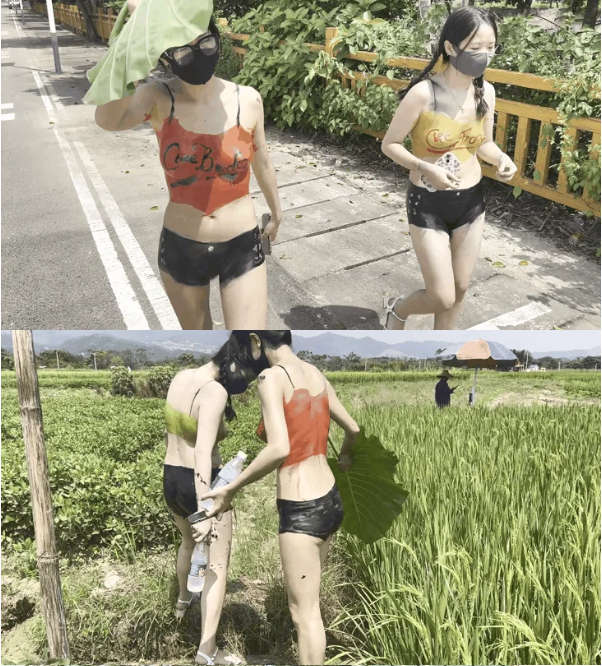 超大胆露出御姐cikaimoon第三期来了[13V/10.1G]
