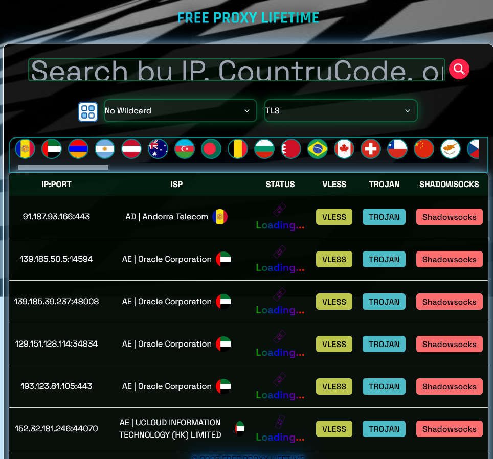 Free Proxy Lifetime，免费代理服务器节点分享站，支持VLESS、Trojan、Shadowsocks