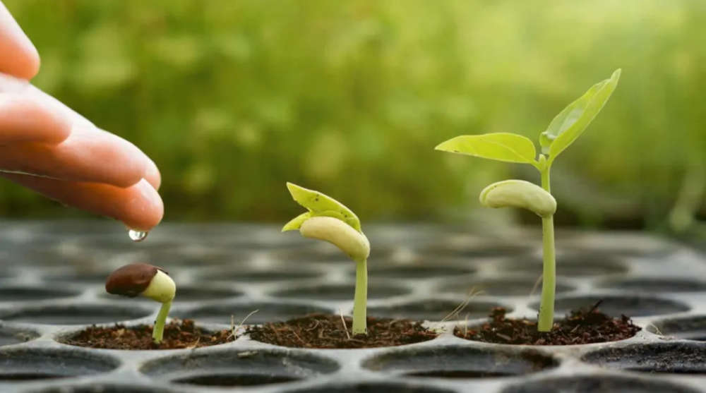 成长最快的方式：不是去拼命学更多知识，而是把自己放到必须输出、必须交卷的场景里