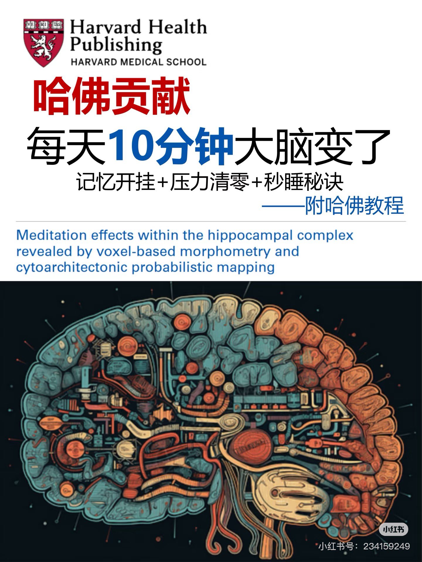 每天10分钟大脑变了，记忆开挂+压力清零+秒睡秘诀