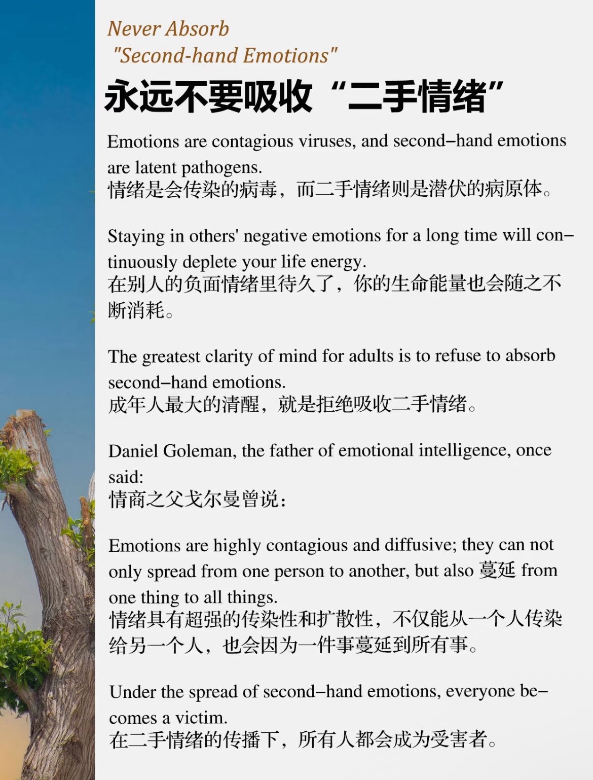 永远不要吸收二手情绪
