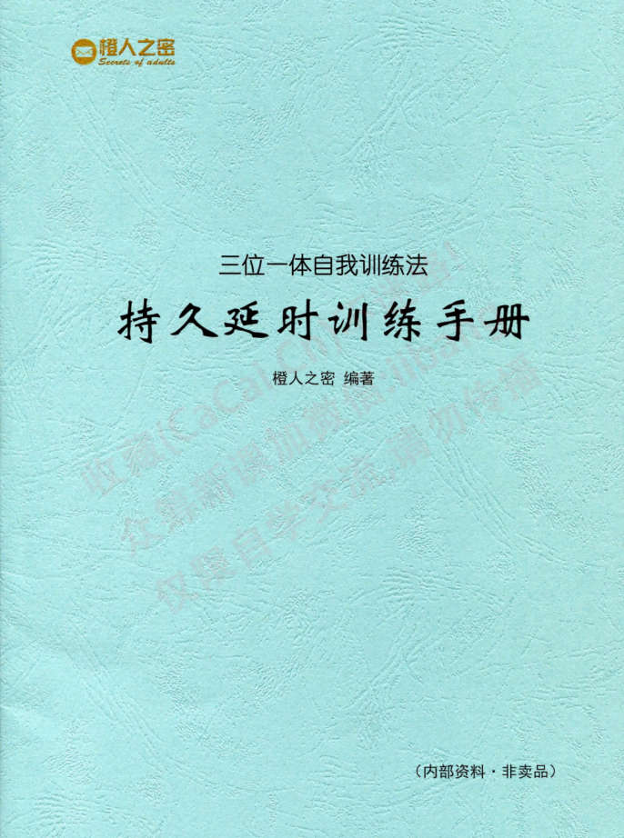 持久延时训练手册