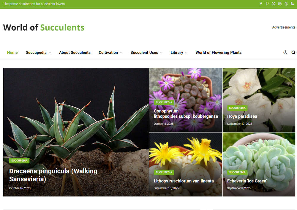 World of Succulents，多肉植物百科站，探索多肉植物的奇妙世界