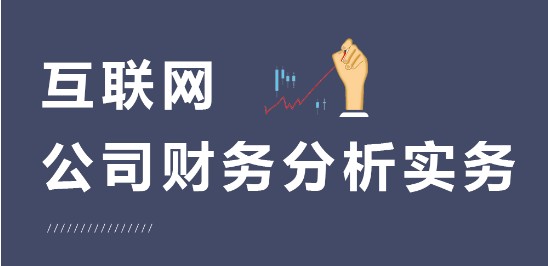 互联网公司财务分析实务