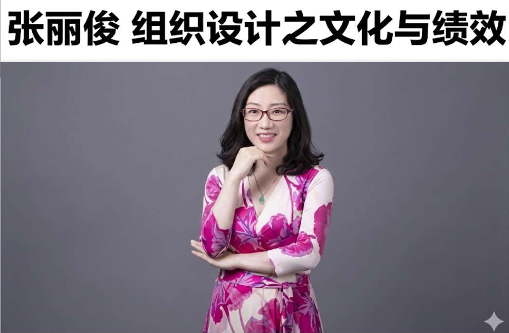 张丽俊 组织设计之文化与绩效