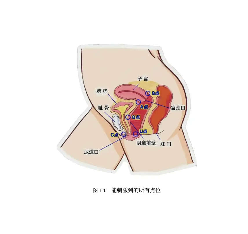 女性高潮各个点的科普与技巧