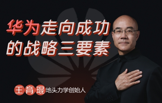 王育琨-华为成就的深层要素