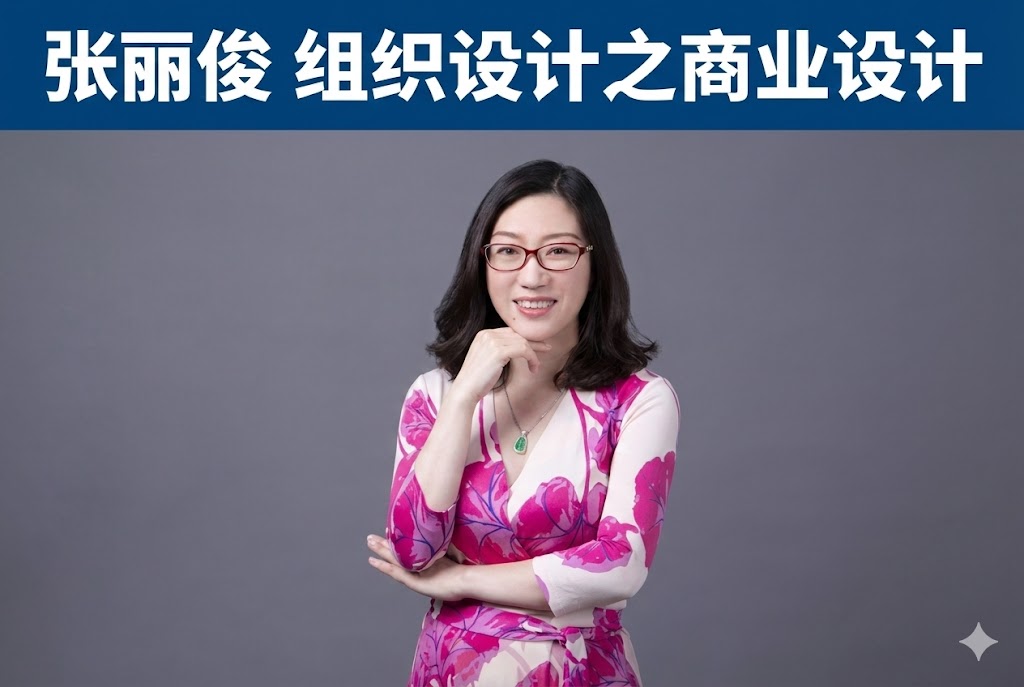 张丽俊 组织设计之商业设计