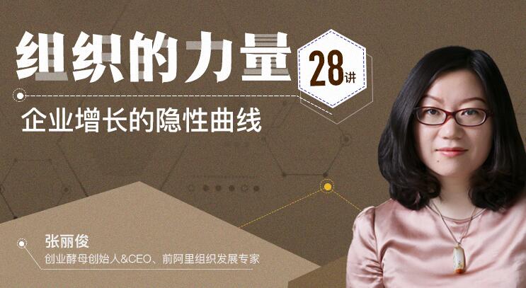 张丽俊 组织的力量28讲