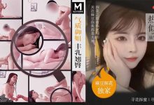 麻豆-辟帝探花合集[12V]