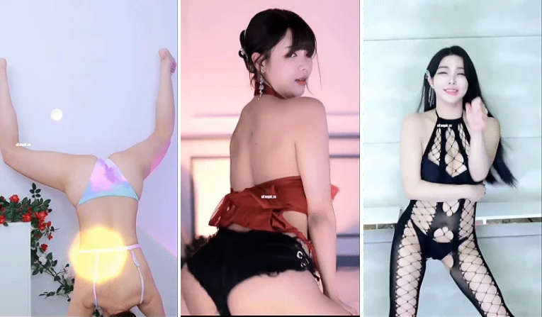 ❤️精品19部❤️韩舞BJ美女动感骚舞 倒立电臀 抖动性感的肉臀起飞合集[19V/3.17G]