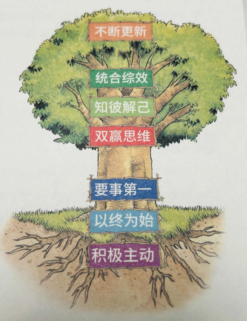 当不再多说话  才开始在扎根