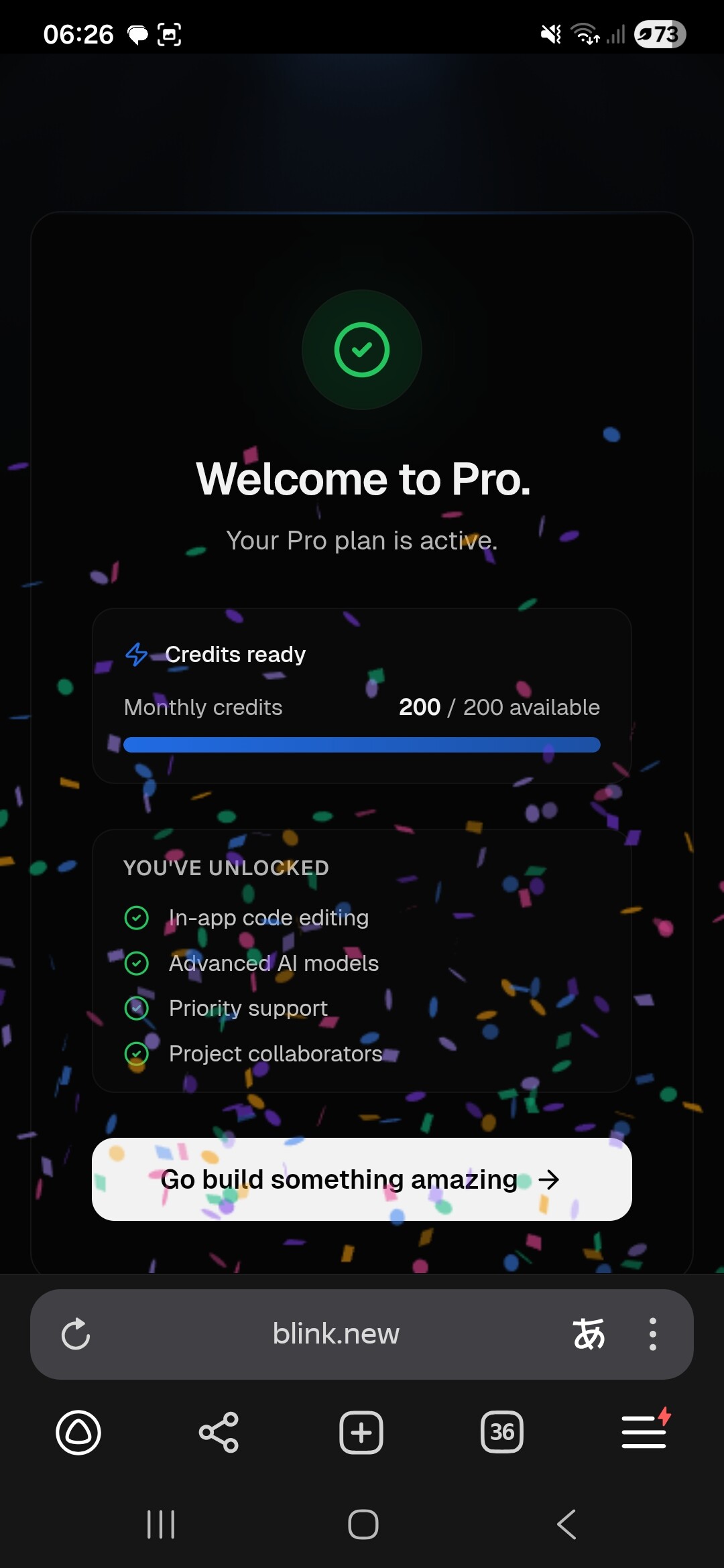 Blink.new Pro 免费试用 1 个月