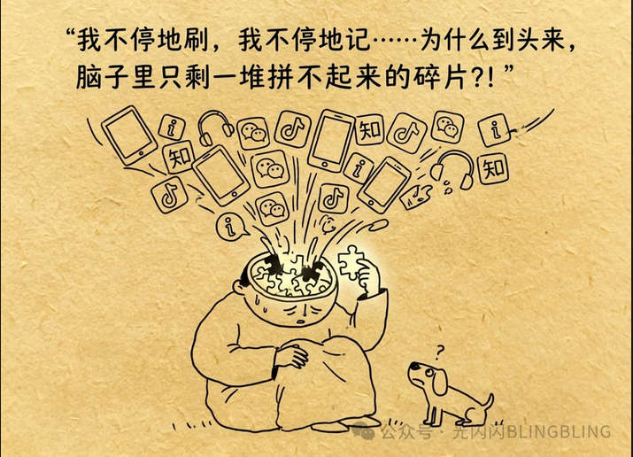 建立你的“专家输入系统”：不再碎片化学习