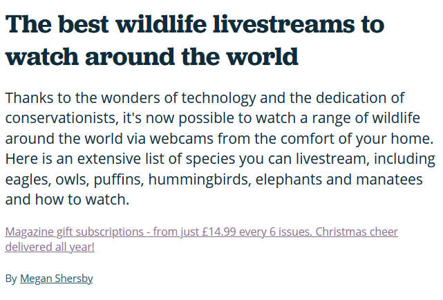 The best wildlife livestreams to watch around the world