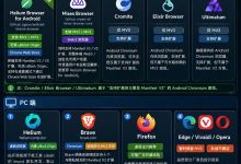 支持 Manifest V2 可以使用 uBlock Origin 的浏览器汇总