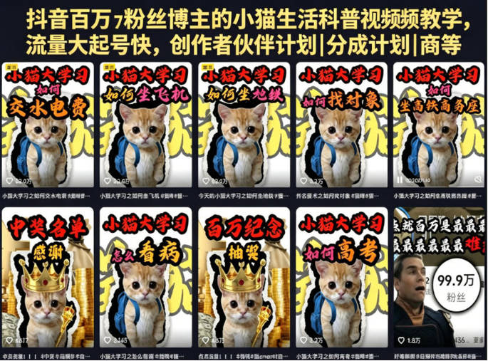 抖音百万粉丝博主的小猫生活科普视频教学，流量大起号快，创作者伙伴计划|分成计划|商单|收徒等