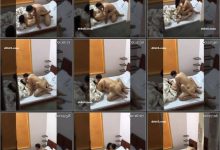 酒店偷拍/厕拍/抄底/洗澡/按摩/探花/一网打尽第五季[1000+V/500+G]
