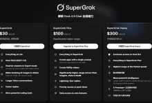 Grok Heavy年付1000刀或三个月99刀/月教程