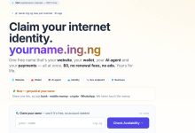 免费 ing.ng 二级域名，很适合用于创建统一收款名片