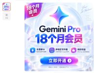 别搞学生优惠了，来搞3.05 元人民币 的 Gemini 18个月 Pro