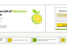 Token Juice 可无限量使用 DeepSeek-V4.1-Flash-1017