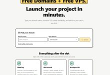 9v4.com 提供 Free Domains + Free VPS