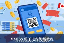 VMISS 薅羊无保姆级教程：支付宝「境外支付笔笔减，2加元实付不到2块钱